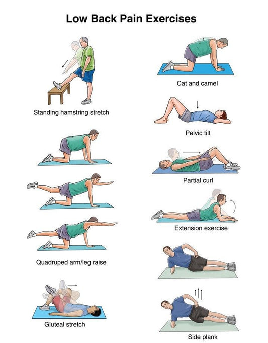 Understanding Back Pain: Causes, Prevention & Effective Relief Strategies
