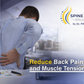 Dr. Franklyn’s Ergonomic Lumbar Support Cushion – Back Pain Relief Pillow for Office, Car, Wheelchair & Home