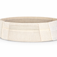 Dr. Franklyn’s Adjustable EMS/TENS Compression Belt – Waist, Back & Muscle Support